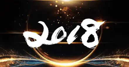 我的2018代表字测试