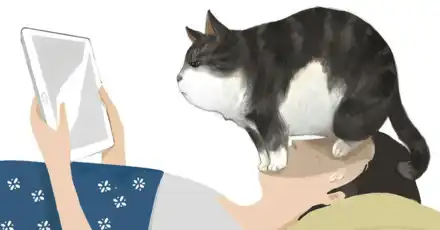 Grande Test degli Amanti dei Gatti