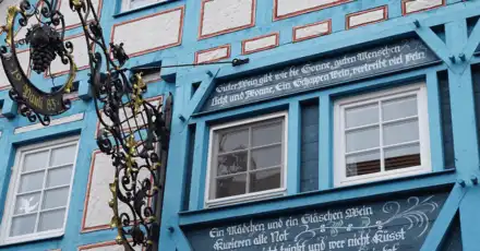 Cosa significano questi proverbi?