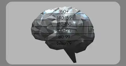 IQ Teszt 2019 