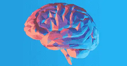 IQ Test 2020 (Culture-fair Challenge Version)