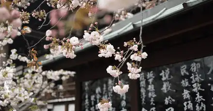 四字熟語&ことわざパネルクイズ