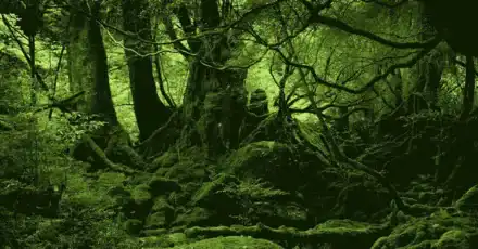 植物知识测试